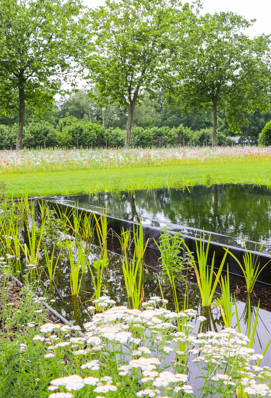 zwemvijver omringd met bomen zwemvijver omringd met bomen